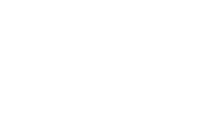 デジタルデザインスタジオ株式会社ロゴ